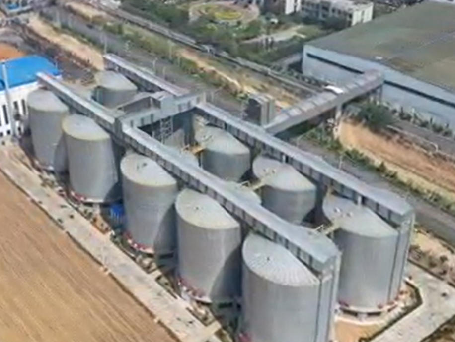 螺旋式钢板仓存储炭素石油焦案例（1万吨*10座）