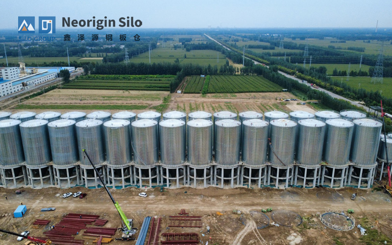 详情素材800x500_3